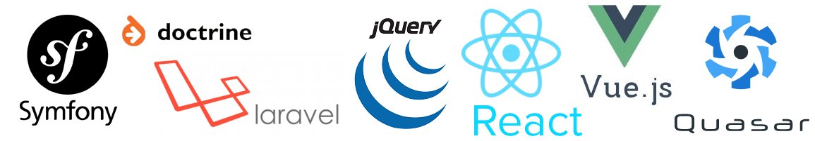 Développeur Web moderne, Responsive Design Symfony